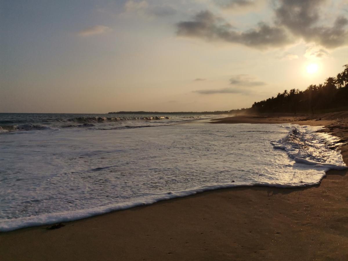 Helios Beach Resort Tangalle Eksteriør bilde