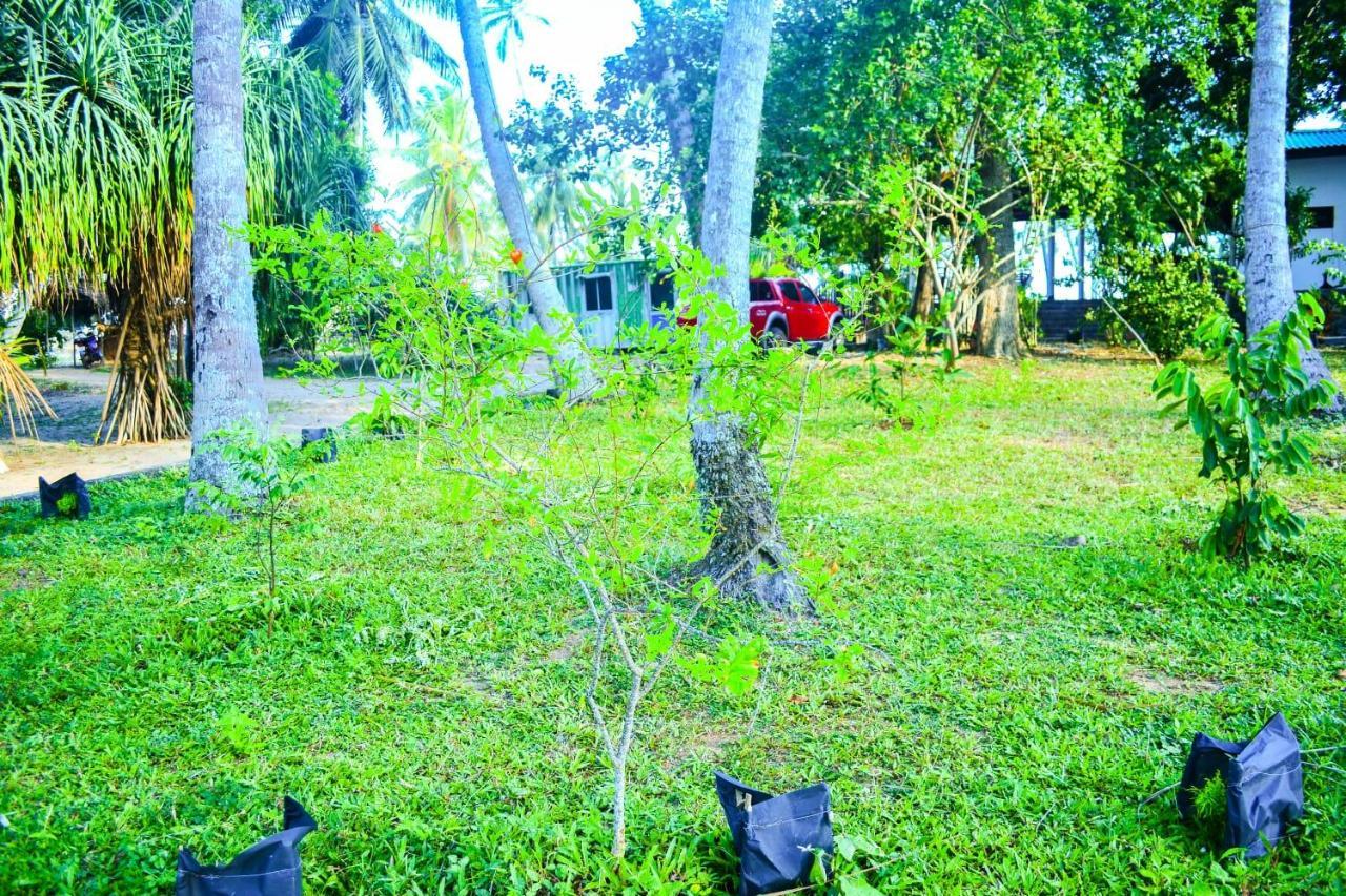 Helios Beach Resort Tangalle Eksteriør bilde