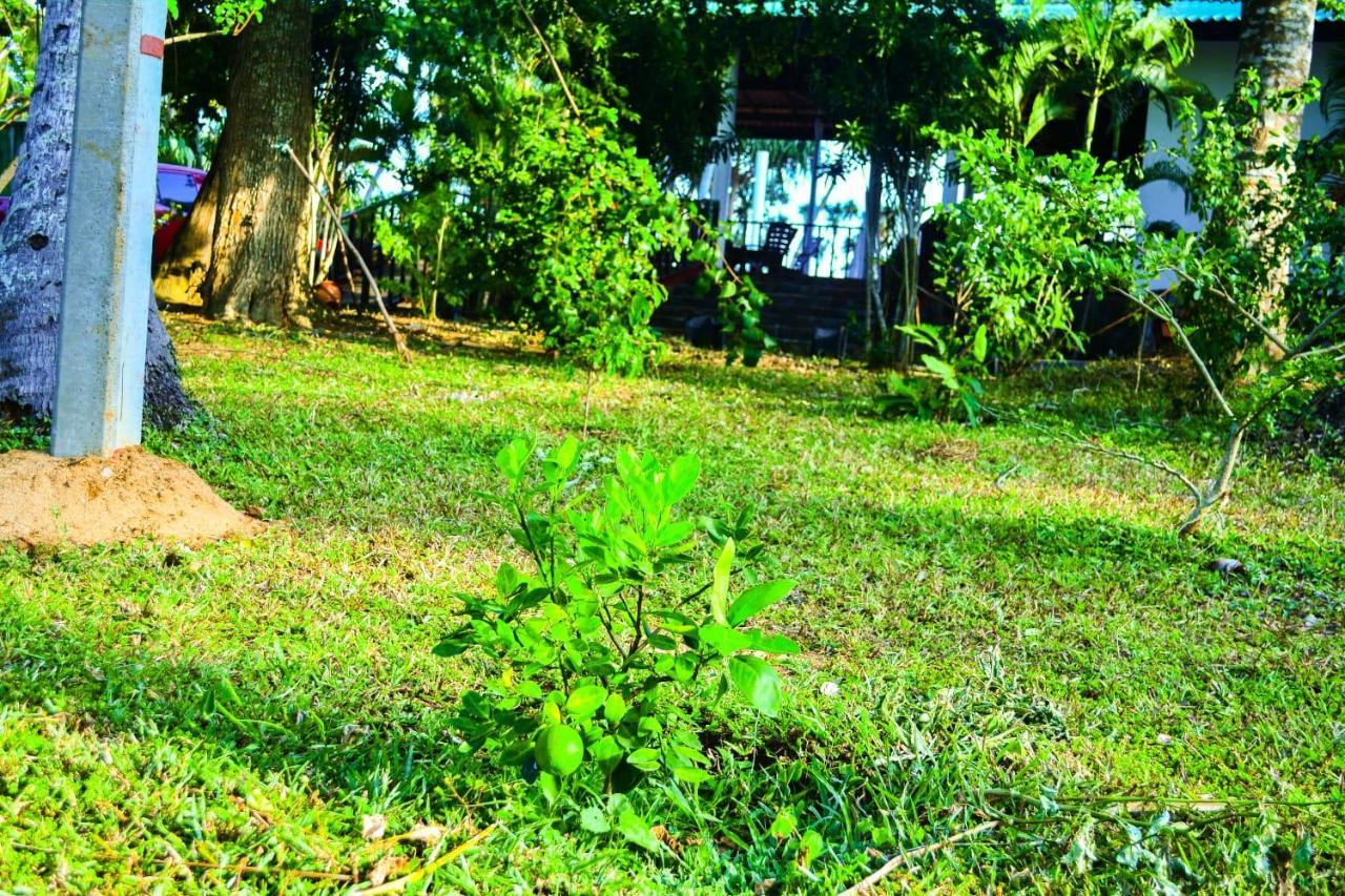Helios Beach Resort Tangalle Eksteriør bilde