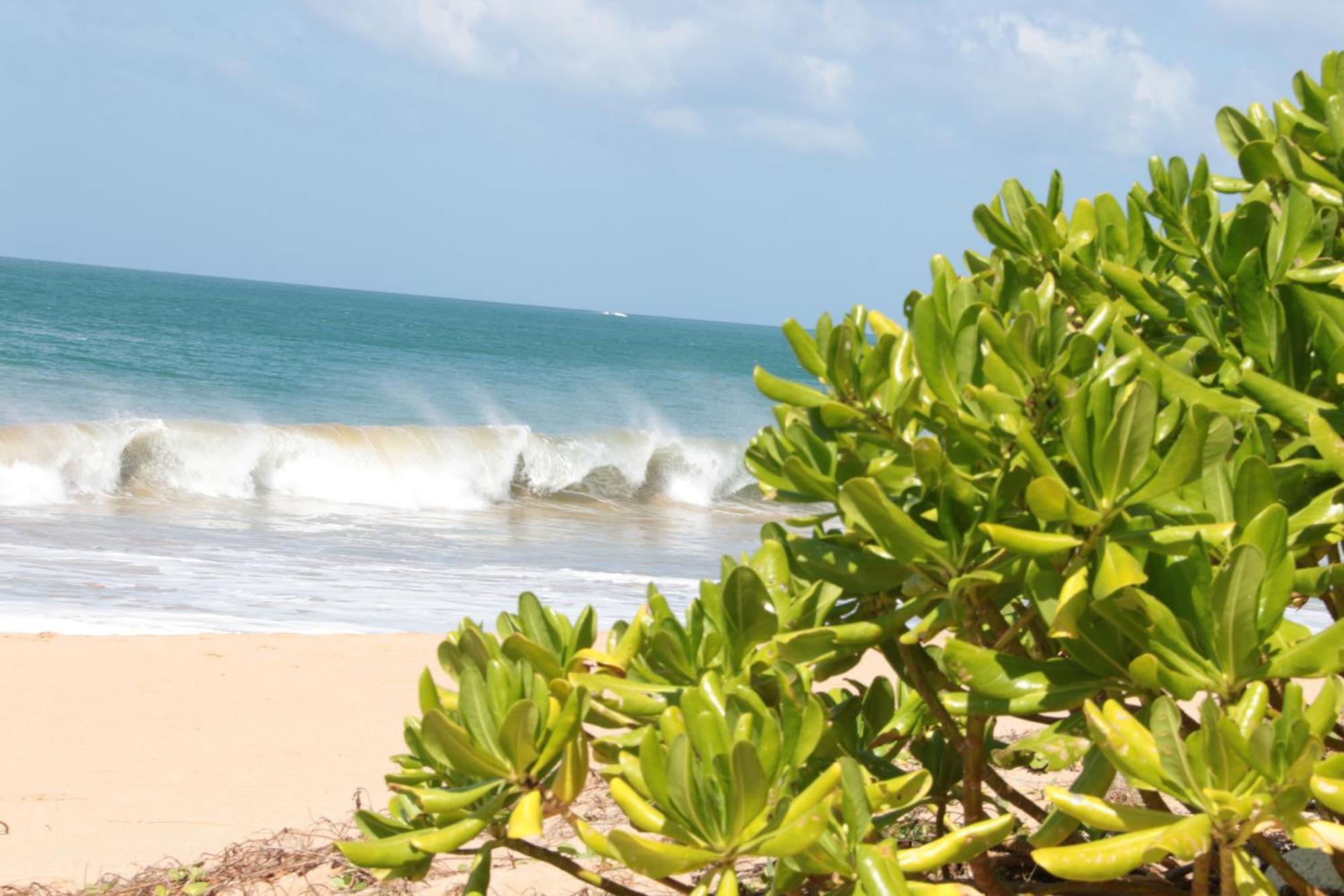 Helios Beach Resort Tangalle Eksteriør bilde